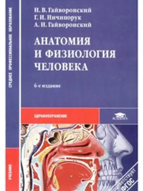 Cover: АНАТОМИЯ И ФИЗИОЛОГИЯ ЧЕЛОВЕКА. И. В. ГАЙВОРОНСКИЙ, Г. И. НИЧИПОРУК, А. И. ГАЙВОРОНСКИЙ