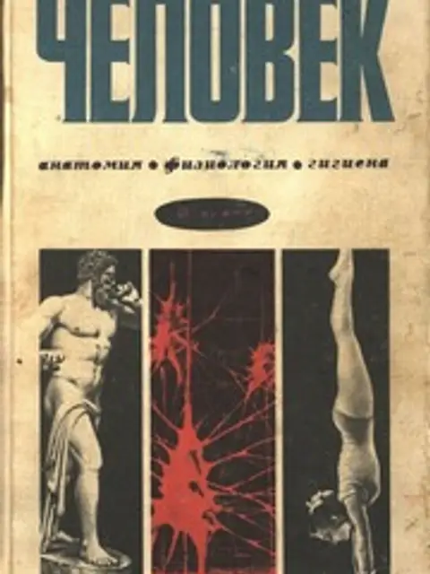 Cover: Человек: Анатомия, физиология, гигиена. Учебник для 8 класса средней школы (стр. 1-254, нет стр. 151-154)