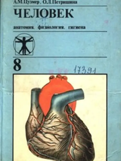 Cover: Человек: анатомия, физиология и гигиена. Учебник для 8 класса средней школы (нет стр. 15-16, 47-54)