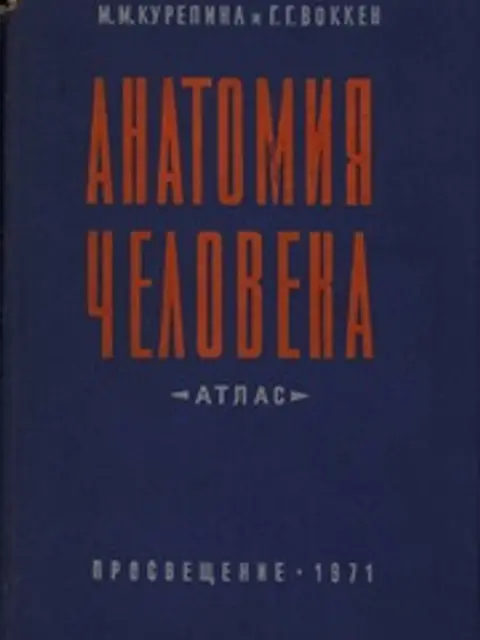 Обложка: Анатомия человека. Часть II (Атлас)
